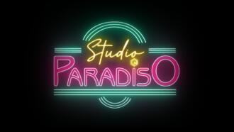 Studio paradiso neon on black